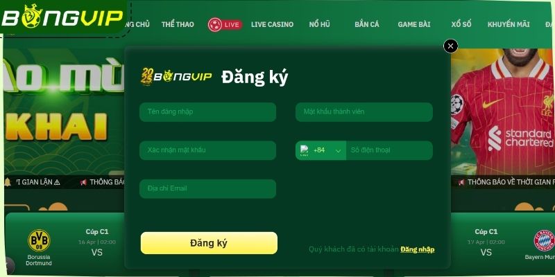  Cung cấp thông tin đăng ký Bongvip chính xác vào mẫu