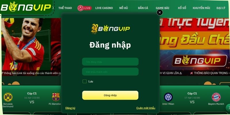 Cung cấp thông tin đăng nhập Bongvip chính xác
