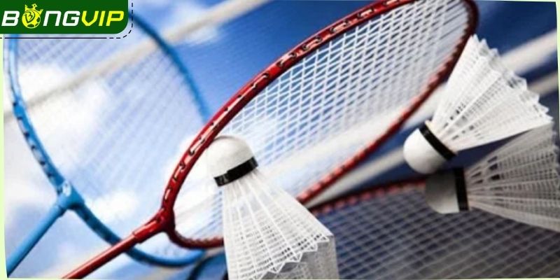 Điểm qua những nét cơ bản về cá cược cầu lông Bongvip
