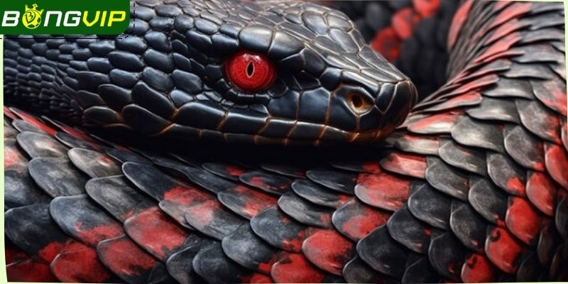 Lý do khi mơ thấy rắn lại khiến nhiều người tò mò đến vậy