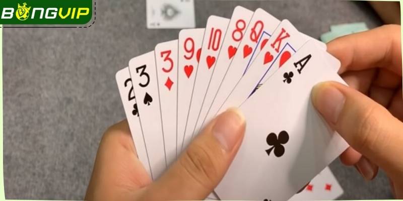 Phỏm là tựa game bài được cộng đồng Bongvip yêu thích