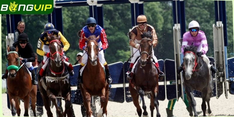 Sức lôi cuốn khó cưỡng lại mà tựa game mang lại