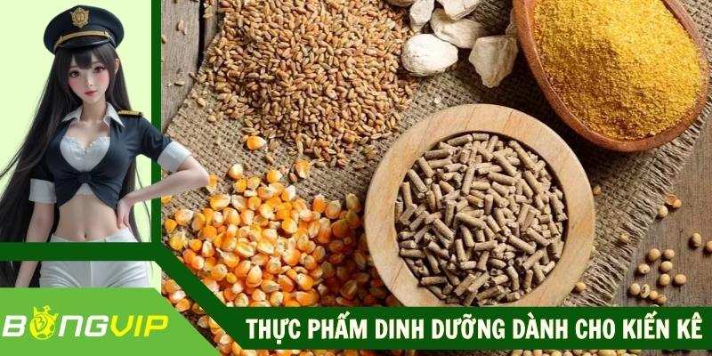 Thực Phẩm Dinh Dưỡng Dành Cho Kiến Kê Chuẩn Chất Lượng